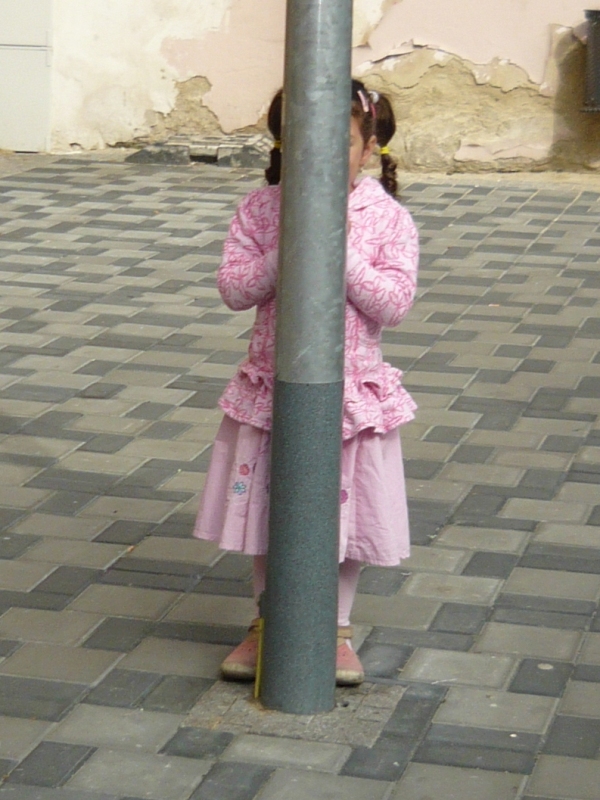 zari 2010 - 03
