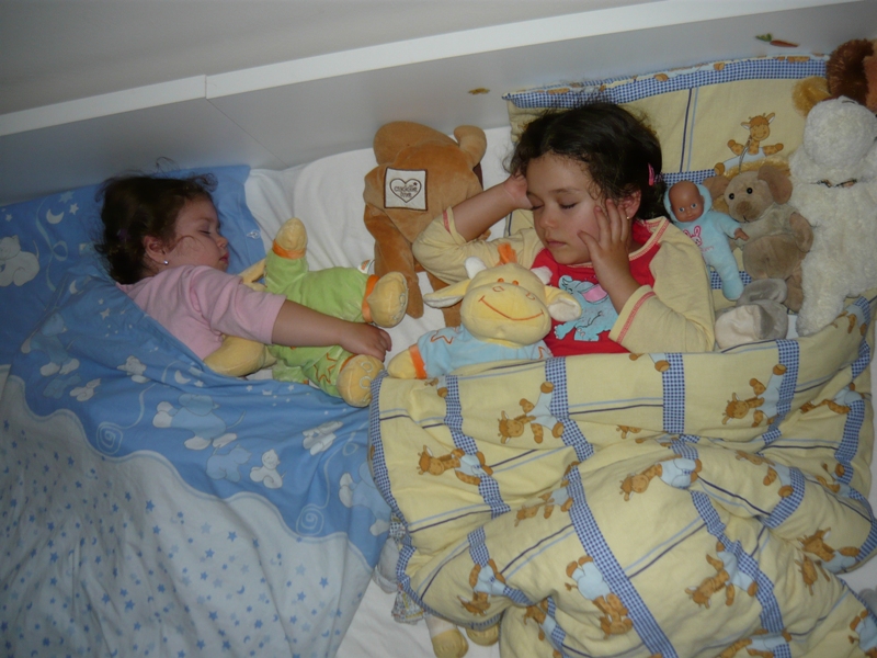 zari 2010 - 09
