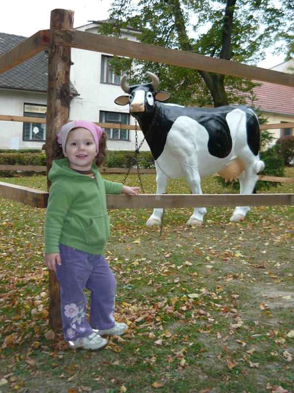 zari 2010 - 13
