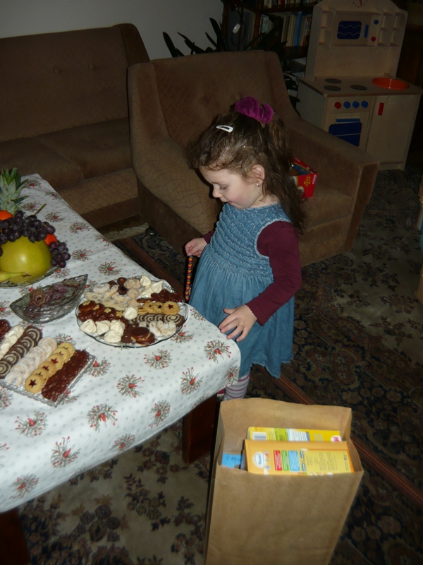 vanoce 2010 - 05
